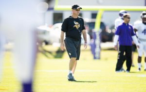 zimmer6