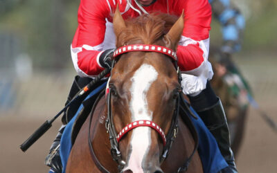 Canterburk Park prepares for 2024 Hall of Fame induction
