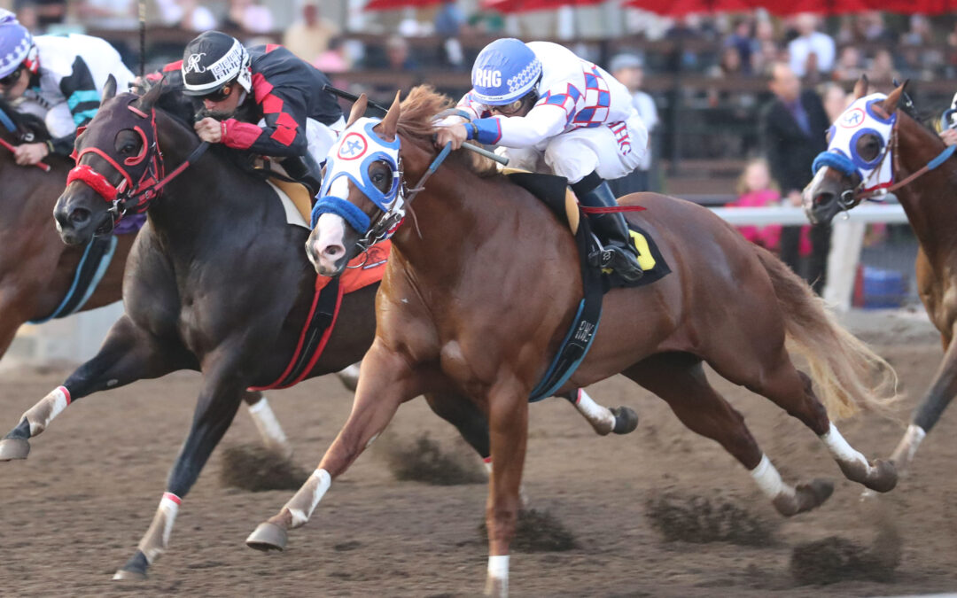 Canterbury Park to be very busy