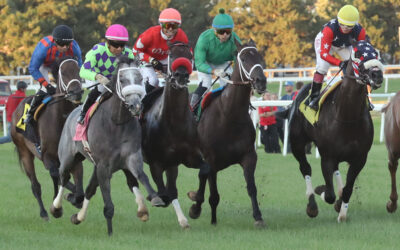 Canterbury Park officially releases 2026 schedule