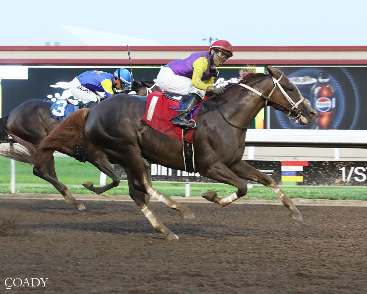 Bridgmohan wins 1000th career race at Canterbury Bridgmohan wins 1000th career race at Canterbury